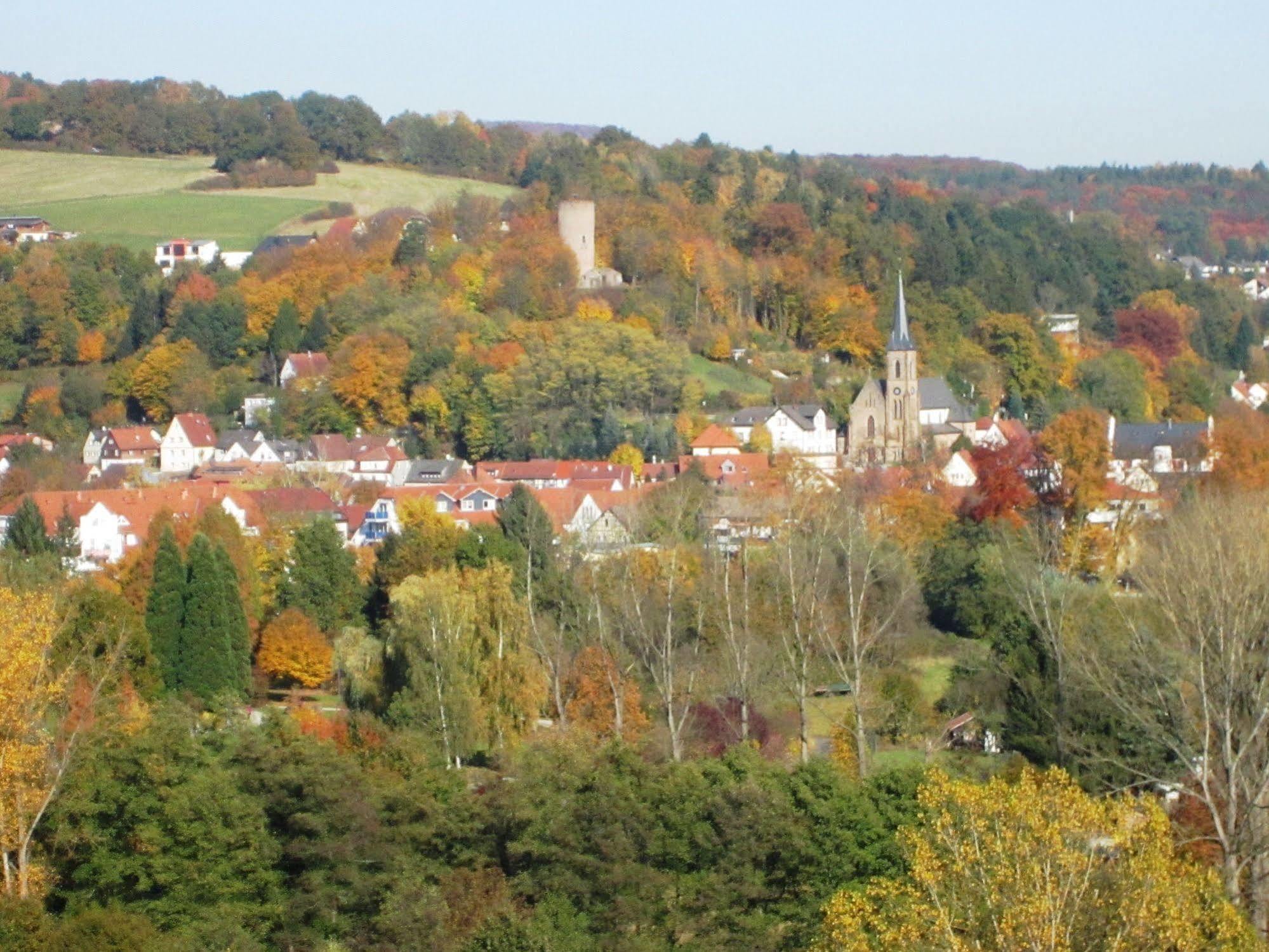 Trip Inn Landhotel Badsoden-Salmuenster Bad Soden-Salmünster Exteriör bild